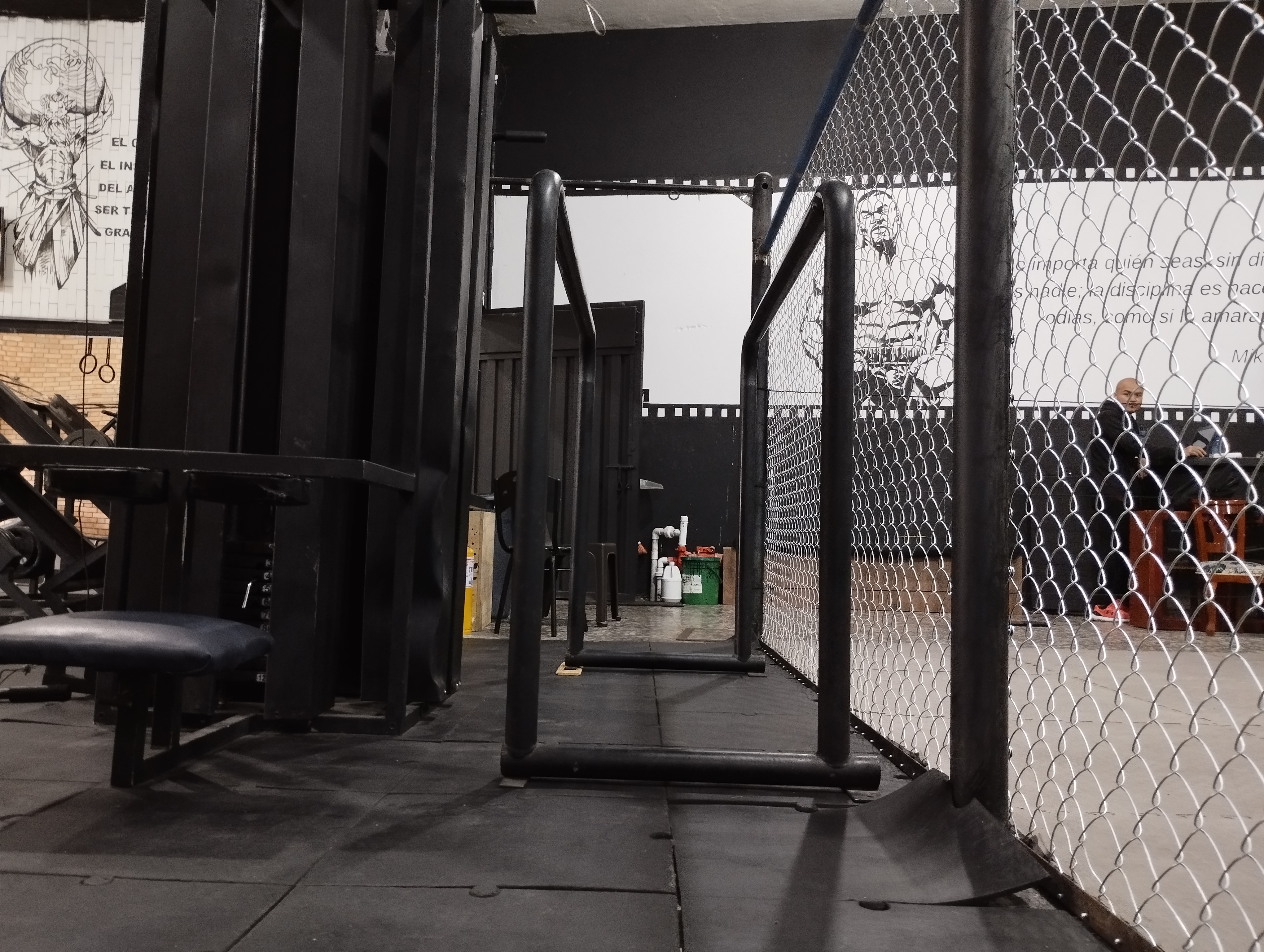 Barras Paralelas